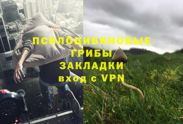соль курить ск Россошь