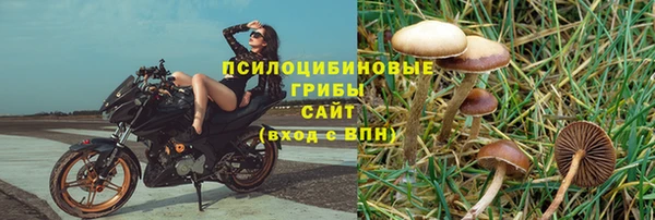 молекула духа Абдулино