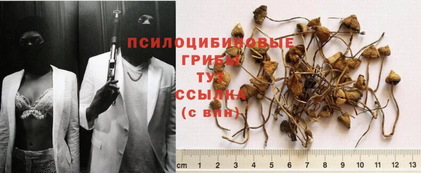 каннабис Алексин