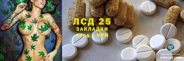 крисы Ростов